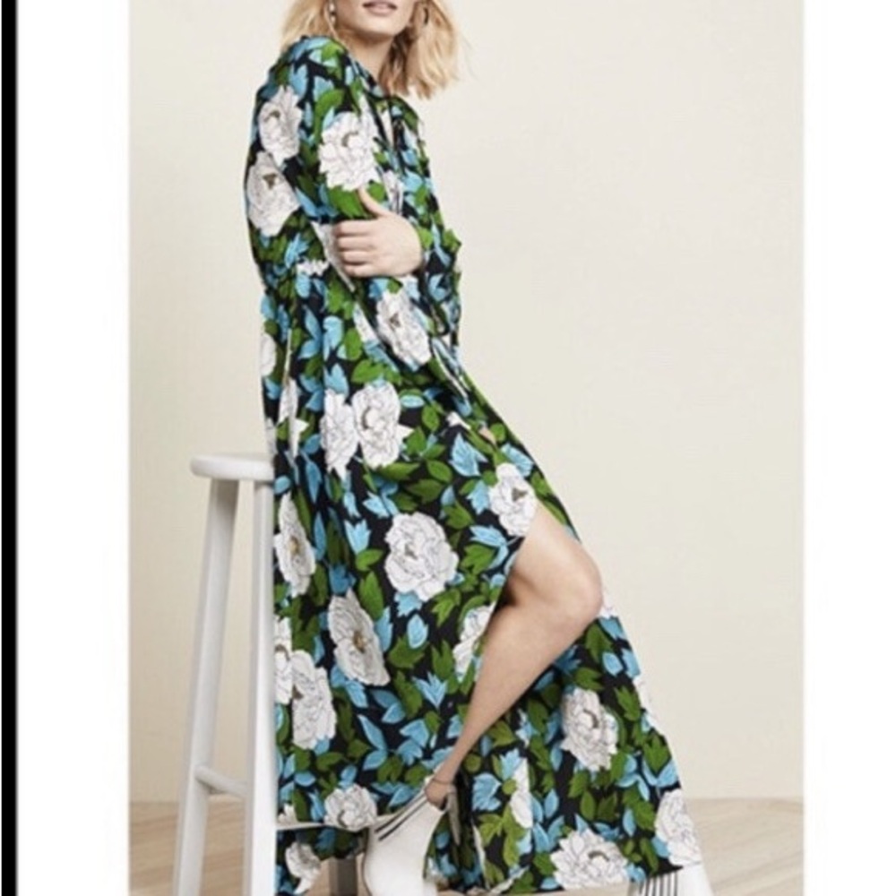 Diana Von Furstenberg Silk Floral Maxi Dress